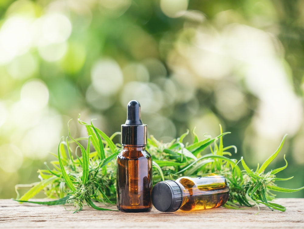 Franchises : le marché du CBD en pleine explosion